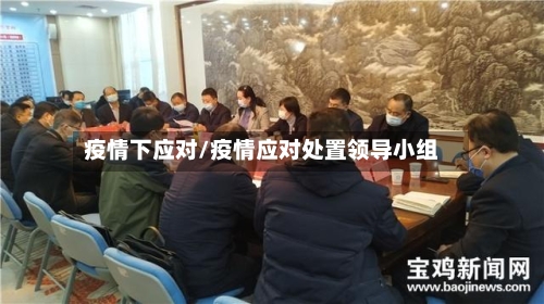 疫情下应对/疫情应对处置领导小组-第3张图片