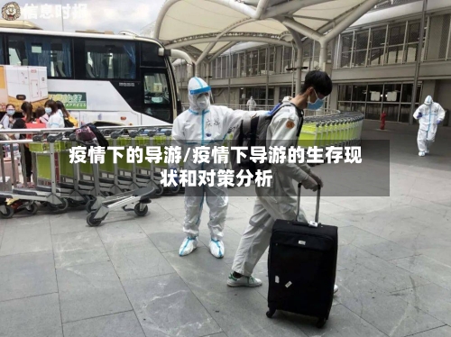 疫情下的导游/疫情下导游的生存现状和对策分析-第3张图片