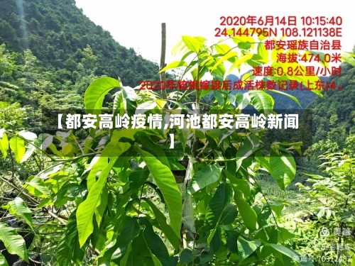 【都安高岭疫情,河池都安高岭新闻】