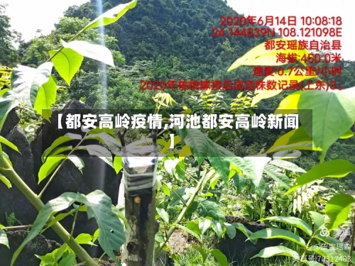 【都安高岭疫情,河池都安高岭新闻】-第3张图片