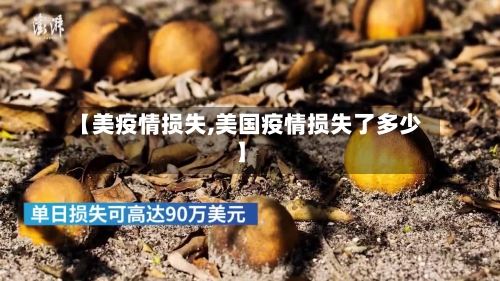 【美疫情损失,美国疫情损失了多少】