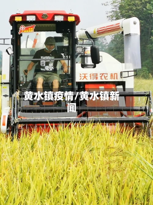 黄水镇疫情/黄水镇新闻