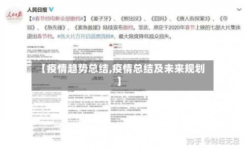【疫情趋势总结,疫情总结及未来规划】-第2张图片