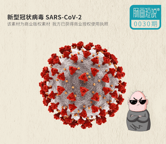 动态看疫情/疫情动态在哪里查看