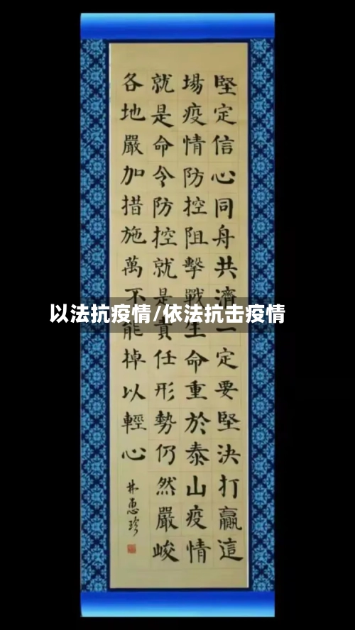 以法抗疫情/依法抗击疫情-第2张图片