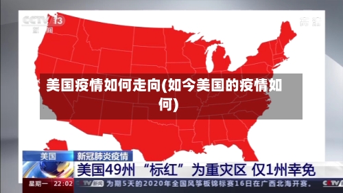 美国疫情如何走向(如今美国的疫情如何)-第3张图片