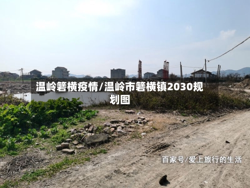 温岭箬横疫情/温岭市箬横镇2030规划图