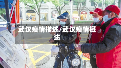 武汉疫情描述/武汉疫情概述-第3张图片