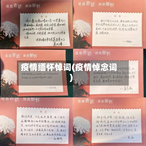 疫情缅怀悼词(疫情悼念词)