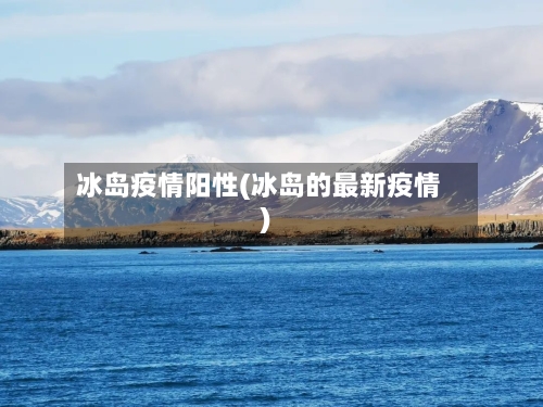 冰岛疫情阳性(冰岛的最新疫情)-第3张图片