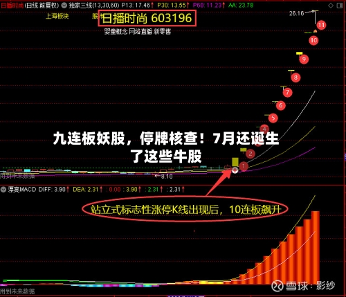 九连板妖股，停牌核查！7月还诞生了这些牛股