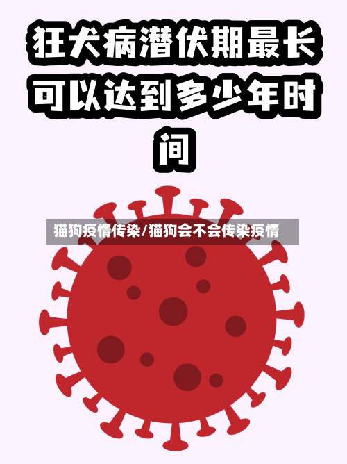 猫狗疫情传染/猫狗会不会传染疫情
