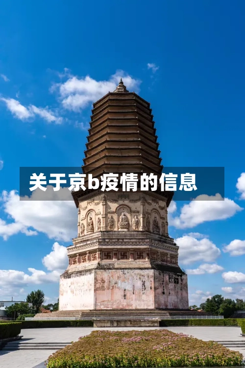 关于京b疫情的信息