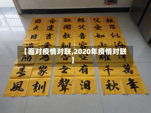 【面对疫情对联,2020年疫情对联】-第3张图片