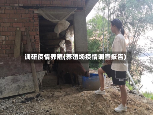 调研疫情养殖(养殖场疫情调查报告)-第2张图片