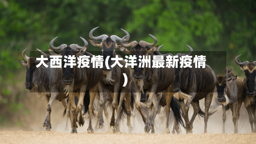 大西洋疫情(大洋洲最新疫情)