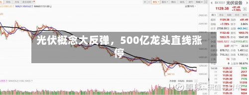 光伏概念大反弹，500亿龙头直线涨停