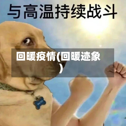 回暖疫情(回暖迹象)