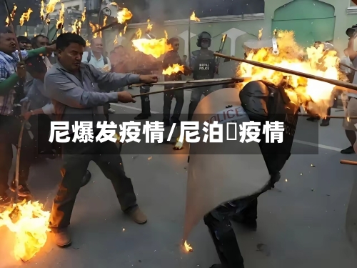 尼爆发疫情/尼泊尓疫情-第2张图片