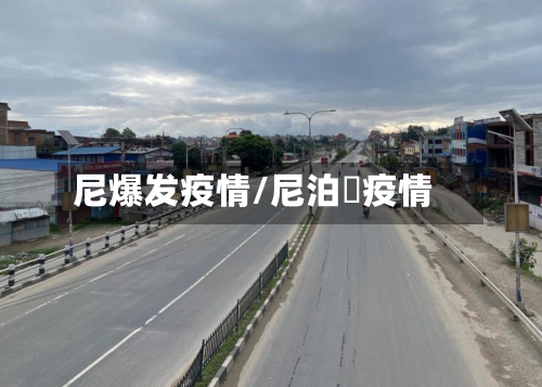 尼爆发疫情/尼泊尓疫情