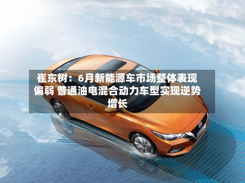 崔东树:6月新能源车市场整体表现偏弱 普通油电混合动力车型实现逆势增长-第2张图片