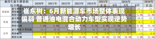崔东树：6月新能源车市场整体表现偏弱 普通油电混合动力车型实现逆势增长