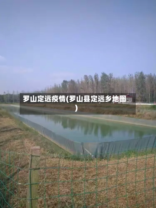 罗山定远疫情(罗山县定远乡地图)