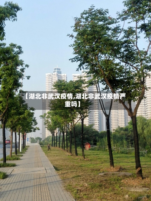【湖北非武汉疫情,湖北非武汉疫情严重吗】-第2张图片
