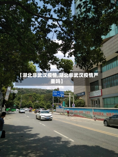 【湖北非武汉疫情,湖北非武汉疫情严重吗】-第3张图片
