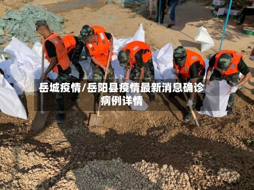岳城疫情/岳阳县疫情最新消息确诊病例详情-第2张图片