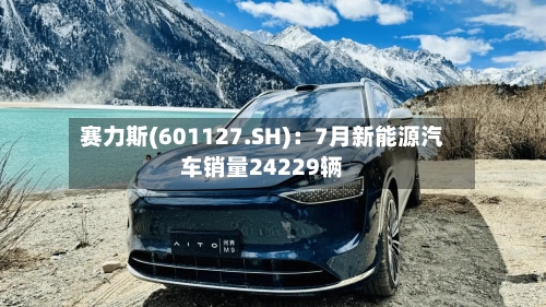 赛力斯(601127.SH):7月新能源汽车销量24229辆-第2张图片