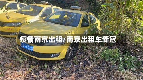 疫情南京出租/南京出租车新冠