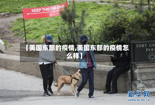 【美国东部的疫情,美国东部的疫情怎么样】-第2张图片