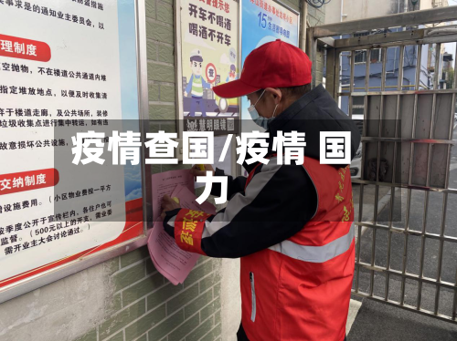 疫情查国/疫情 国力-第2张图片