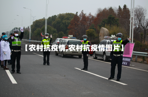 【农村抗疫情,农村抗疫情图片】