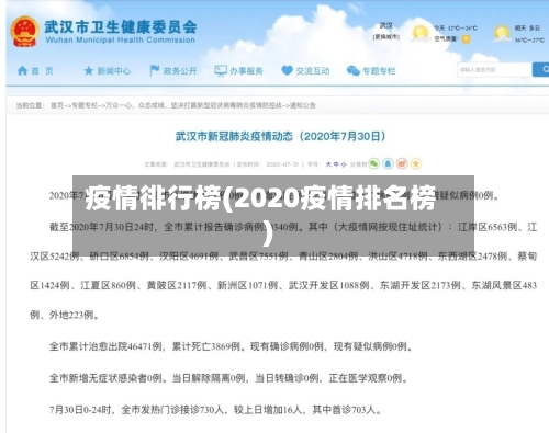 疫情徘行榜(2020疫情排名榜)-第3张图片