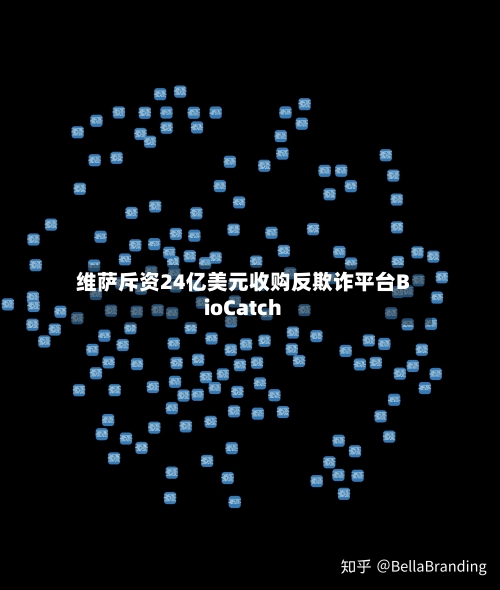 维萨斥资24亿美元收购反欺诈平台BioCatch