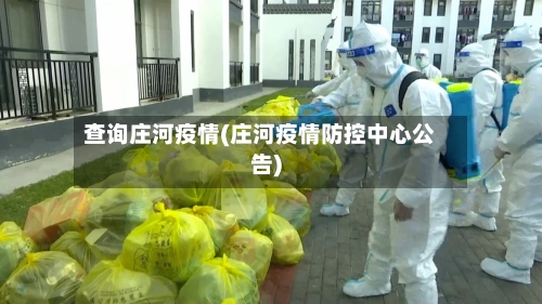 查询庄河疫情(庄河疫情防控中心公告)
