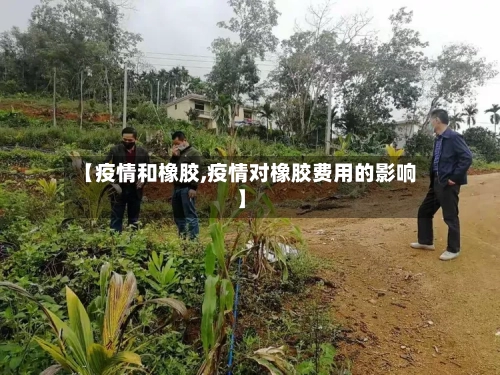 【疫情和橡胶,疫情对橡胶费用的影响】
