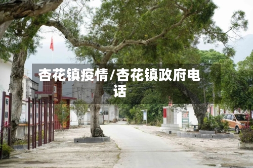 杏花镇疫情/杏花镇政府电话