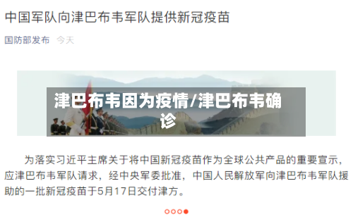 津巴布韦因为疫情/津巴布韦确诊
