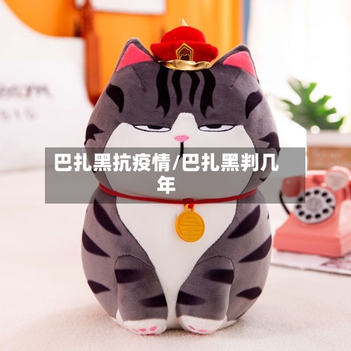 巴扎黑抗疫情/巴扎黑判几年-第2张图片