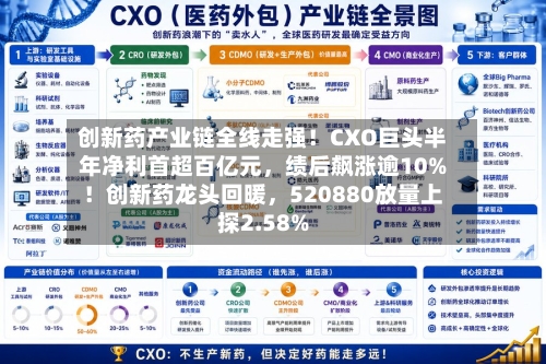 创新药产业链全线走强！CXO巨头半年净利首超百亿元	，绩后飙涨逾10%！创新药龙头回暖，520880放量上探2.58%-第2张图片
