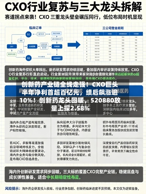 创新药产业链全线走强！CXO巨头半年净利首超百亿元	，绩后飙涨逾10%！创新药龙头回暖，520880放量上探2.58%-第3张图片