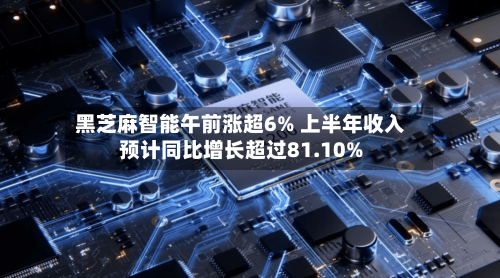 黑芝麻智能午前涨超6% 上半年收入预计同比增长超过81.10%-第2张图片