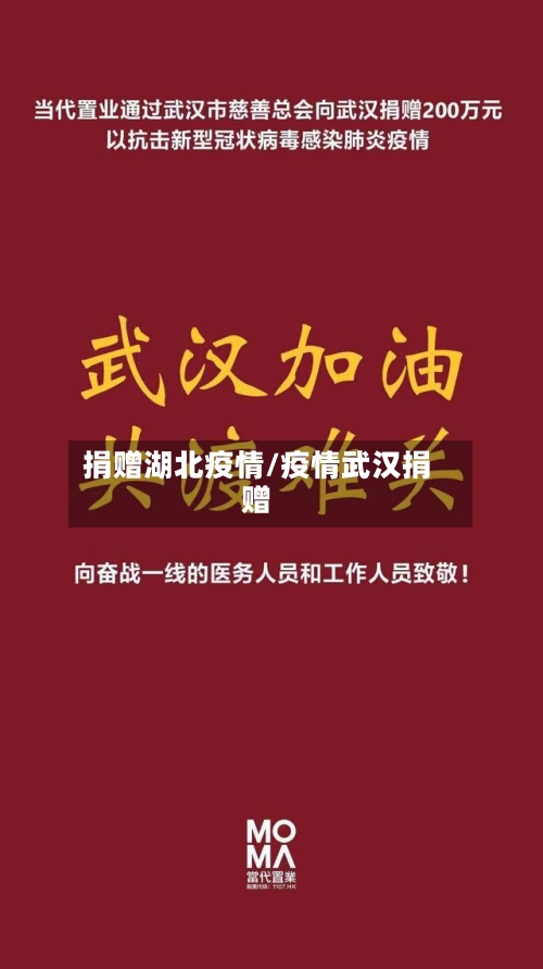捐赠湖北疫情/疫情武汉捐赠