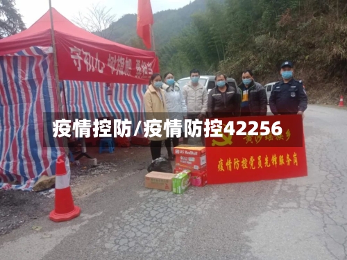 疫情控防/疫情防控42256