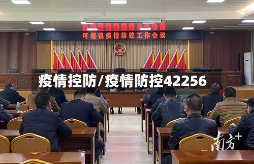 疫情控防/疫情防控42256-第2张图片