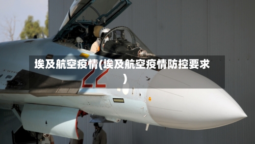 埃及航空疫情(埃及航空疫情防控要求)