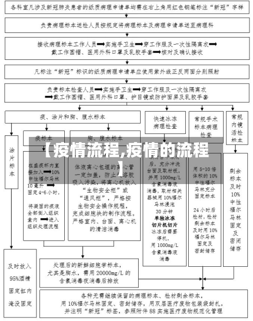 【疫情流程,疫情的流程】-第3张图片